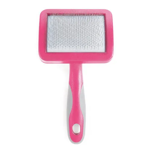 Ancol Ergo Hedgehog Slicker Cat Brush