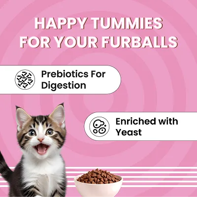 Bark Out Loud Essentials Real Fish Kitten Dry Food