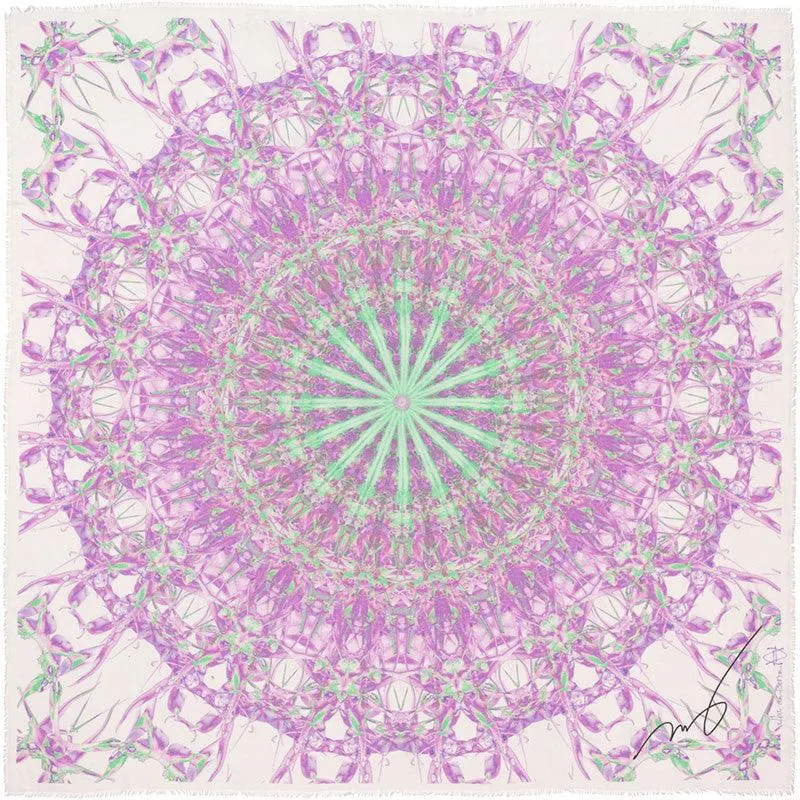 Beguiling Trajectory