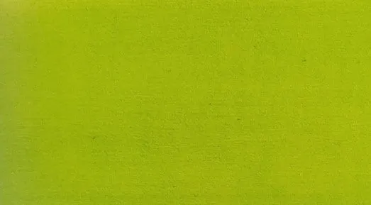 BIOFA Aqua Paint 8005 - 125ml