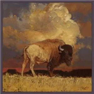 Buffalo Silk Scarf