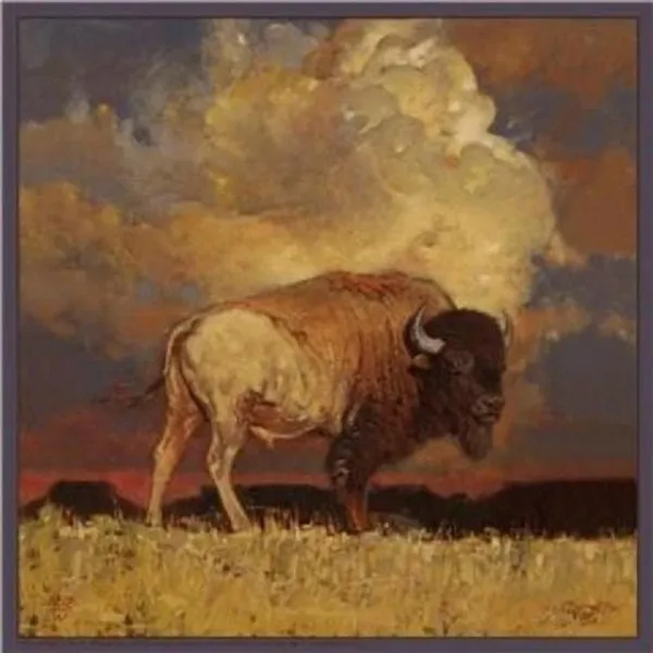 Buffalo Silk Scarf