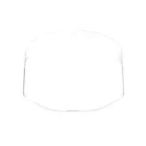 Face Shield - 3M Total Performance Polycarbonate Window, Clear (Case of 10) 82600-00000