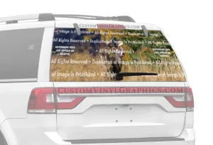 In The Air Rear Window Decal