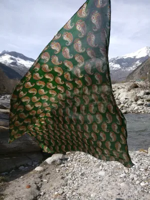 Pure Paisley Silk Scarf for Women
