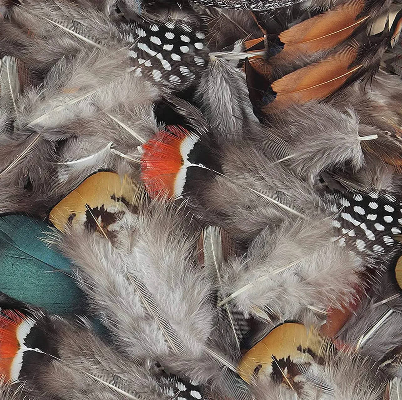 Small Feather Hat Accessory