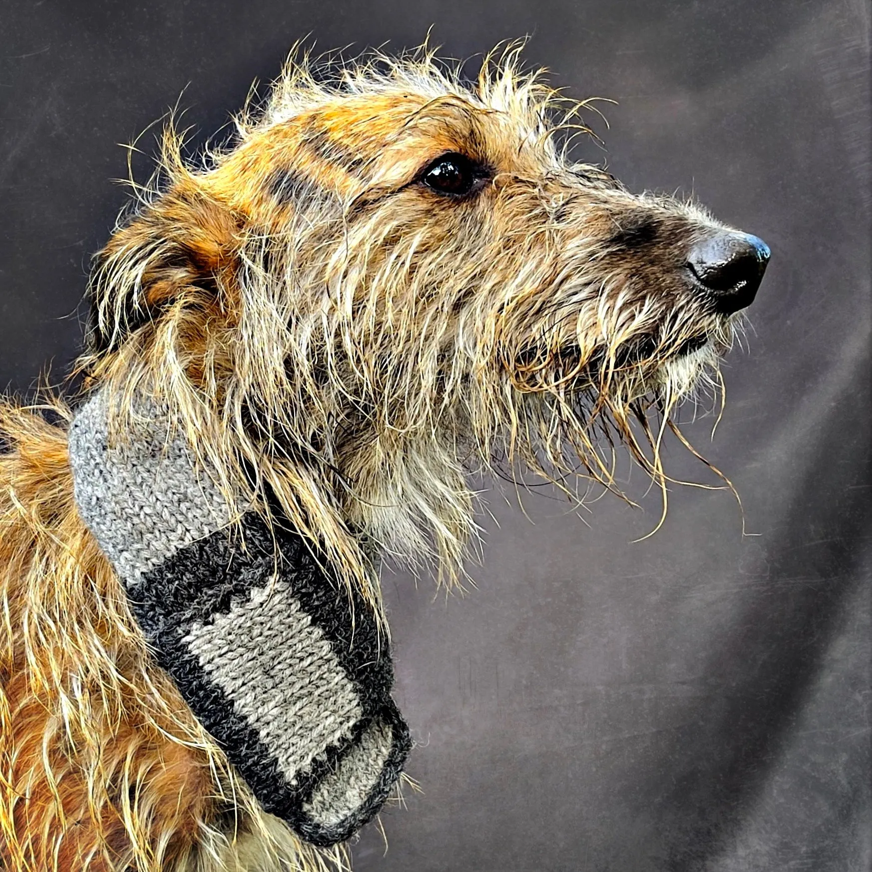 Smithy Black & Grey Stripe Pull-On Dog Neck Warmer