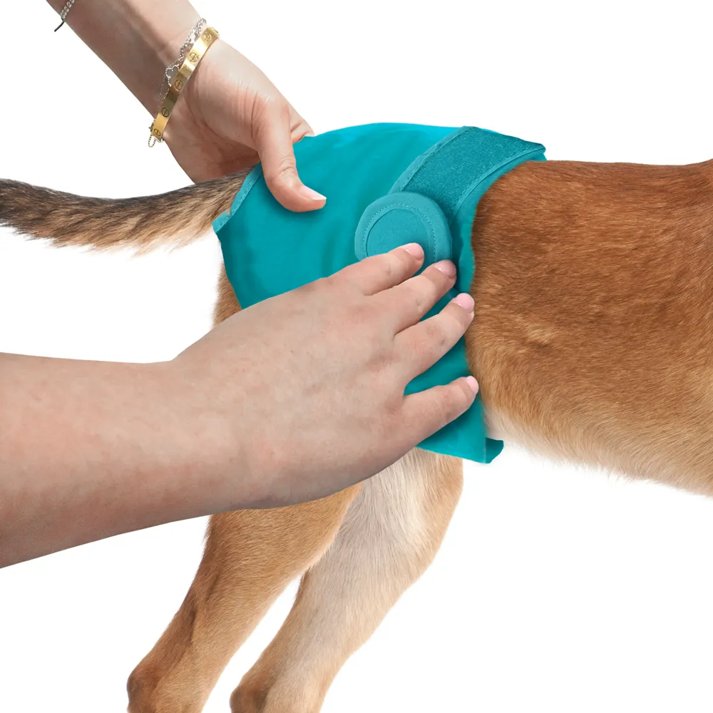 Washable Female Dog Diaper