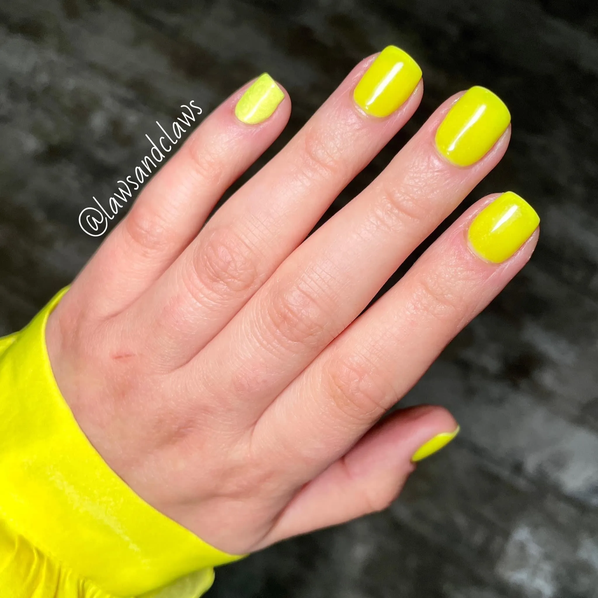 Wowwza Yellow-Seashell gel